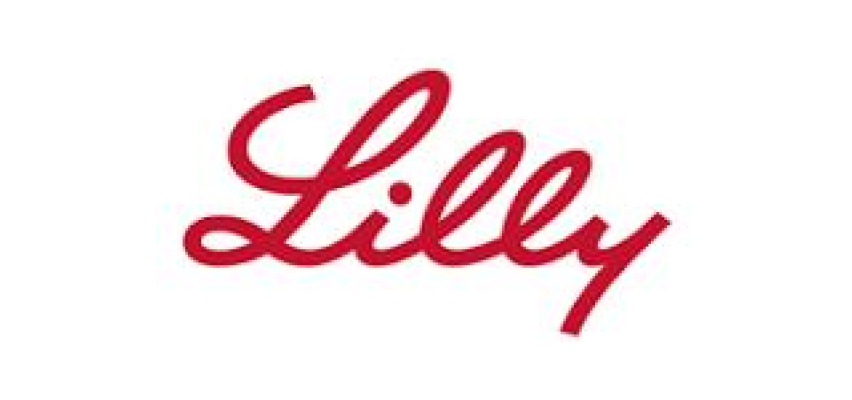 lilly icon AI for Job Seekers